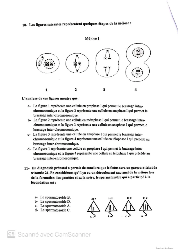 ENA Meknès 2024 - الصفحة 3: عدد المقاعد ومراكز المباراة